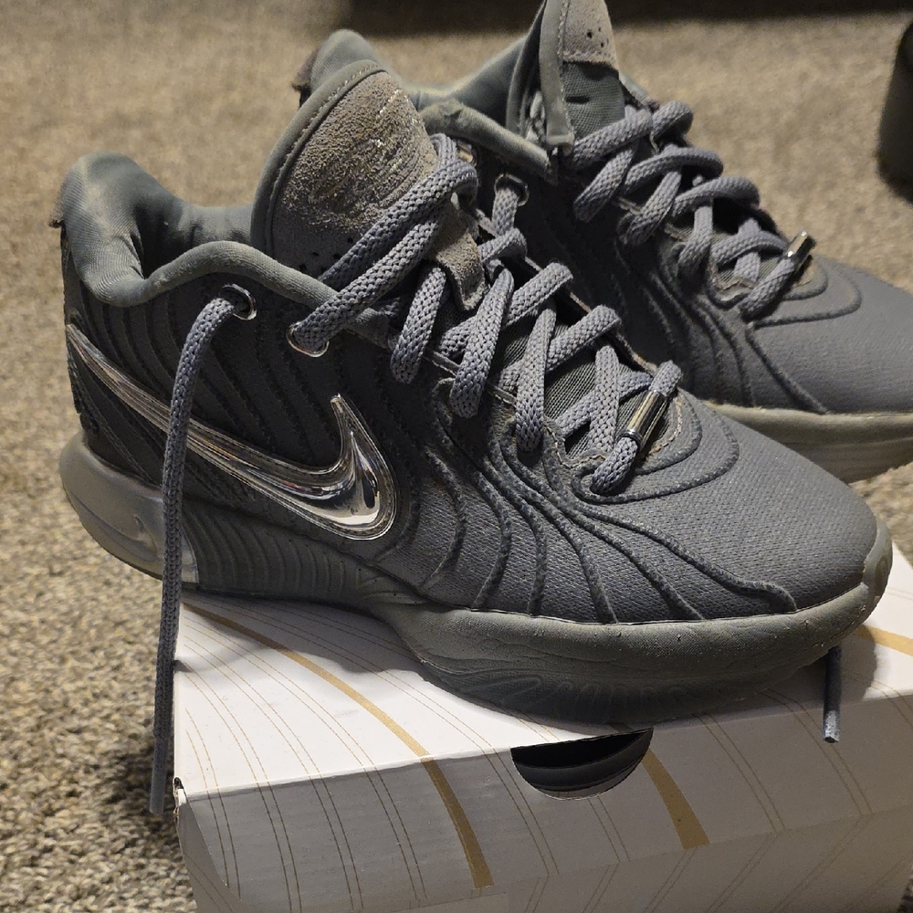 Nike LeBron Charcoal Sneakers with Metallic Highlights